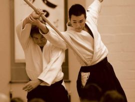 shimizu Tendoryu Aikido